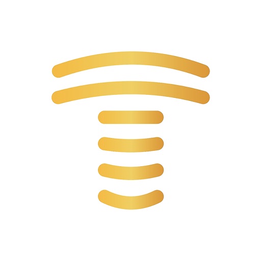 TeslaPay logo