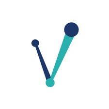 Valyuz logo